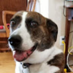 Meet your Posher, Nick farmer